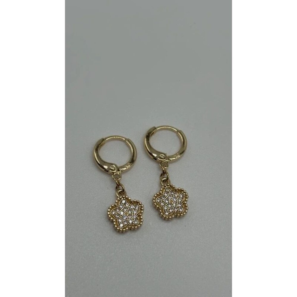 Aretes chapado en oro